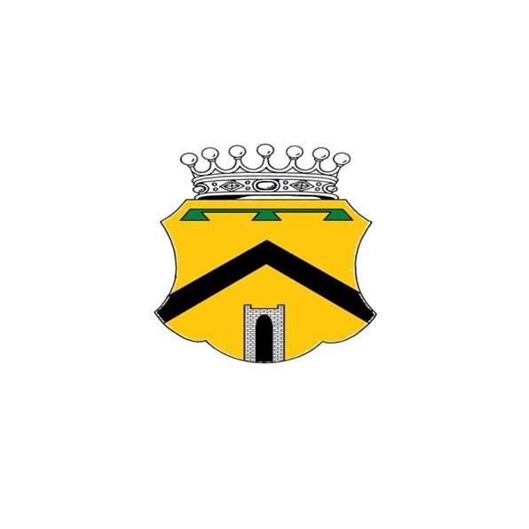 CUSTOM FAMILY CREST RING - Danelian Jewelry