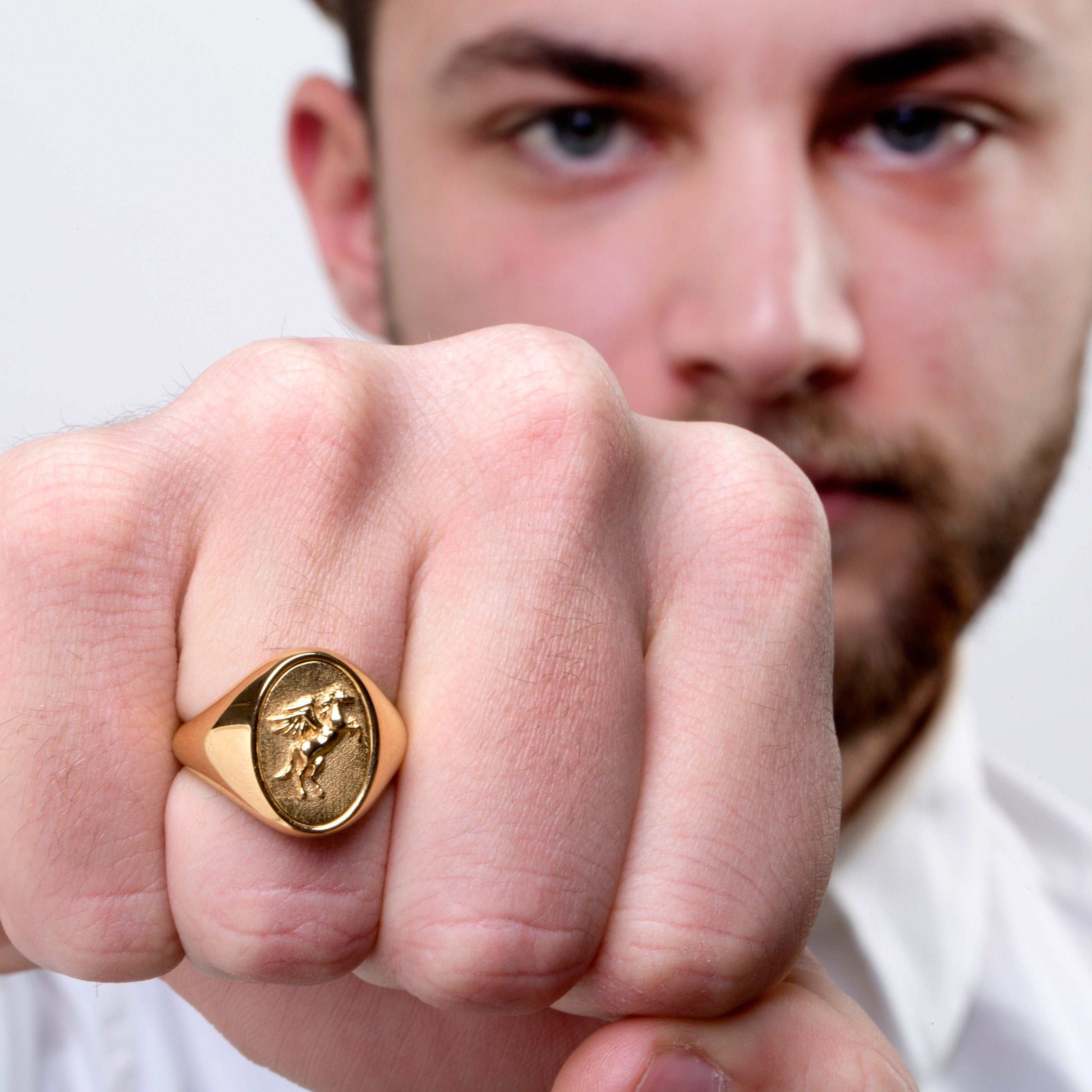 PEGASUS RING - Danelian Jewelry